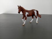 Paard