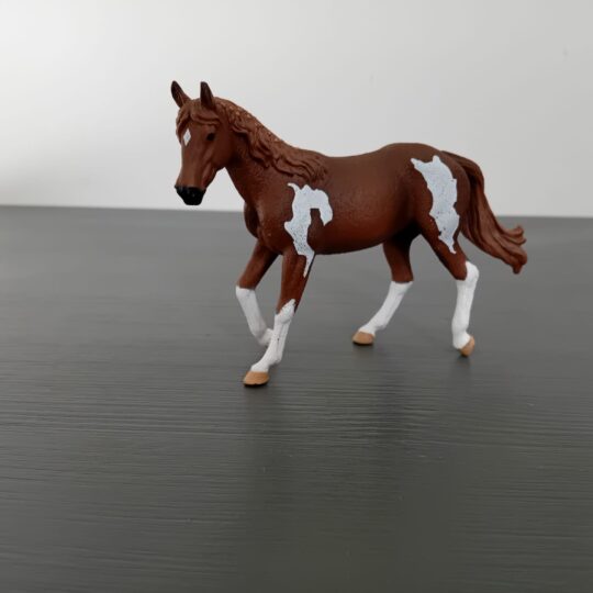 Paard